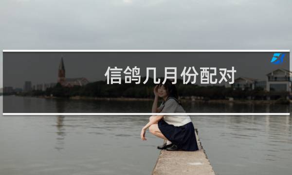 信鸽几月份配对