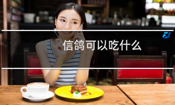 信鸽可以吃什么
