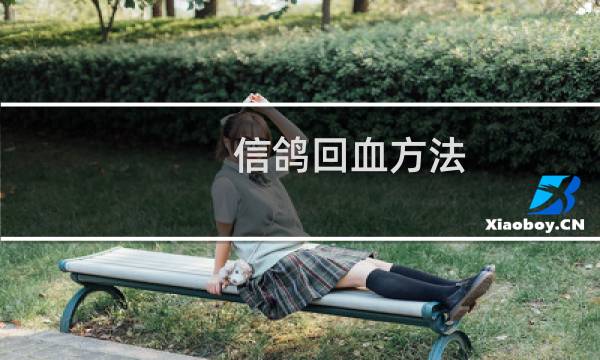信鸽回血方法