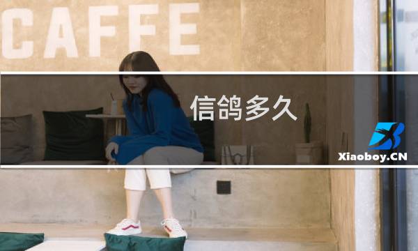 信鸽多久