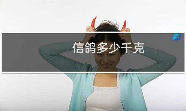 信鸽多少千克