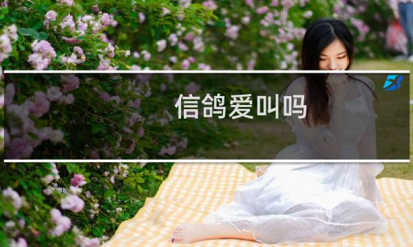 信鸽爱叫吗