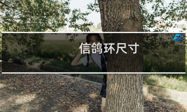 信鸽环尺寸