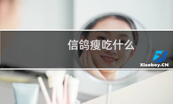 信鸽瘦吃什么