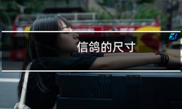 信鸽的尺寸