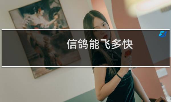 信鸽能飞多快