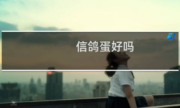 信鸽蛋好吗