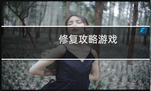 修复攻略游戏
