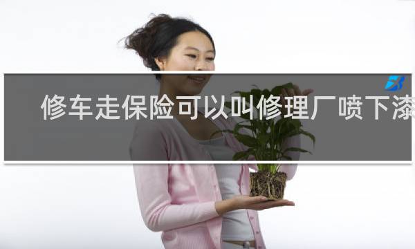修车走保险可以叫修理厂喷下漆吗