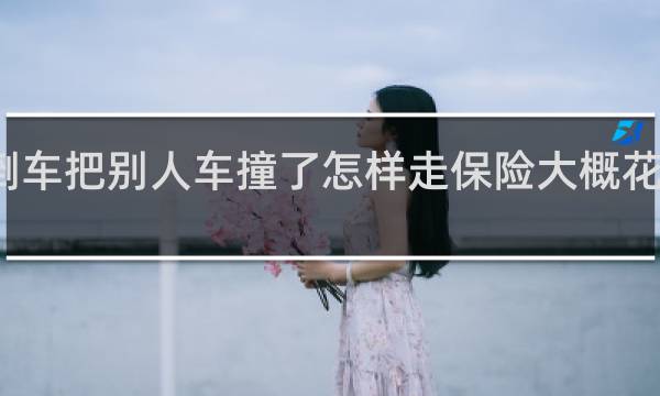 倒车把别人车撞了怎样走保险大概花多少钱