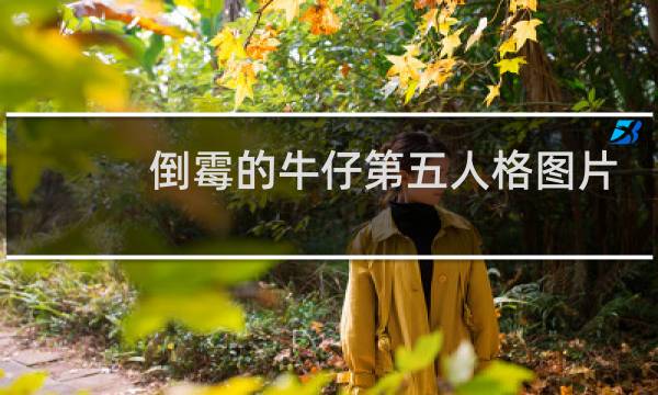 倒霉的牛仔第五人格图片