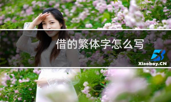 借的繁体字怎么写