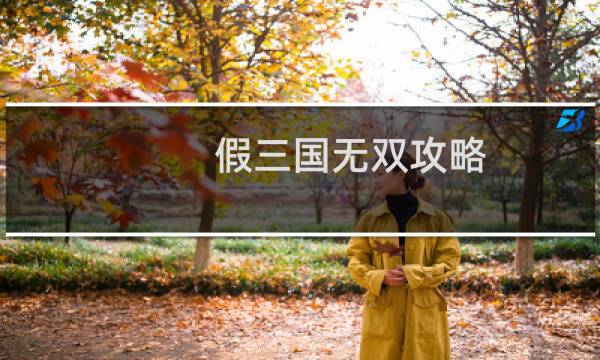 假三国无双攻略