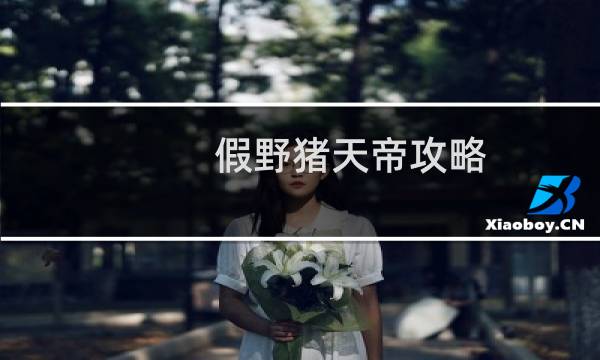 假野猪天帝攻略