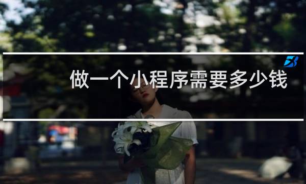 做一个小程序需要多少钱