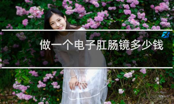 做一个电子肛肠镜多少钱