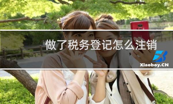 做了税务登记怎么注销