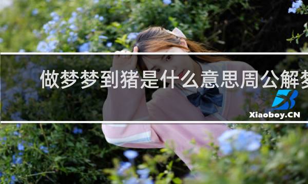 做梦梦到猪是什么意思周公解梦