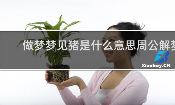 做梦梦见猪是什么意思周公解梦
