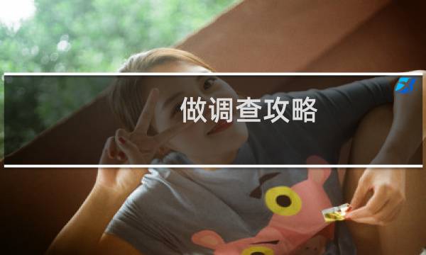 做调查攻略