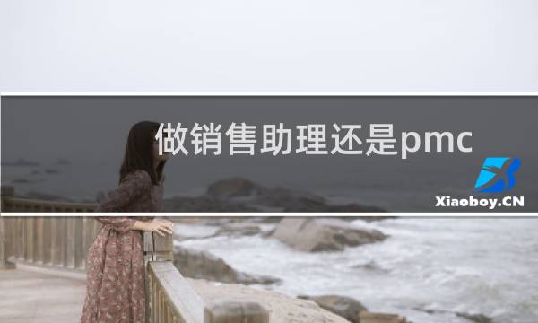 做销售助理还是pmc
