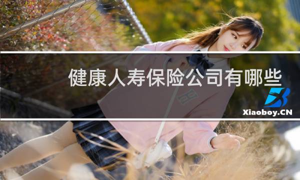 健康人寿保险公司有哪些
