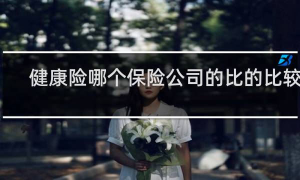健康险哪个保险公司的比的比较好
