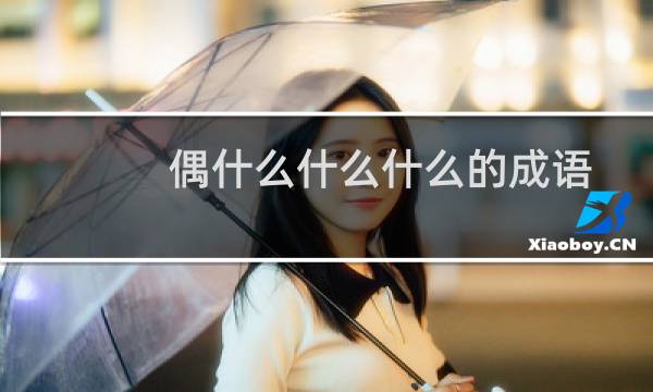 偶什么什么什么的成语