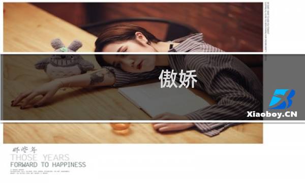 傲娇 攻略