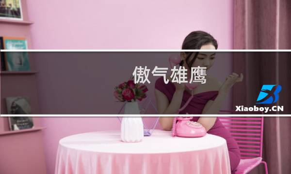 傲气雄鹰 攻略