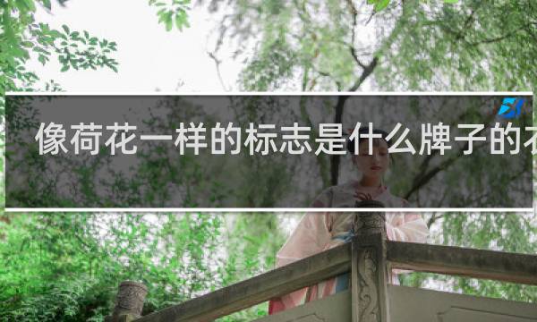 像荷花一样的标志是什么牌子的衣服