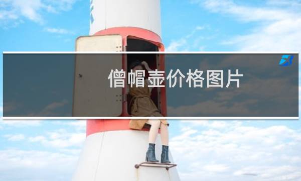 僧帽壶价格图片