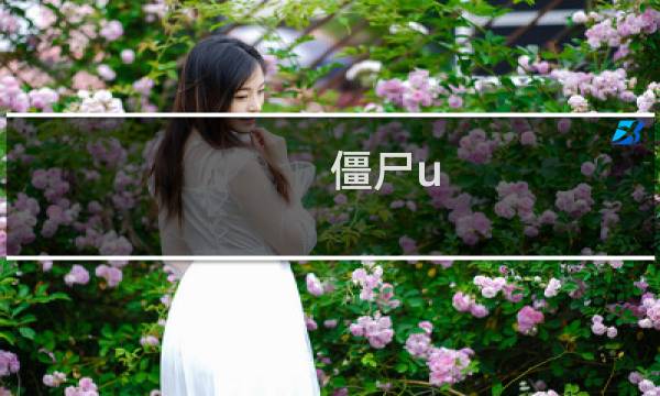 僵尸u 攻略