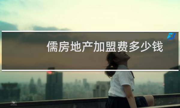 儒房地产加盟费多少钱