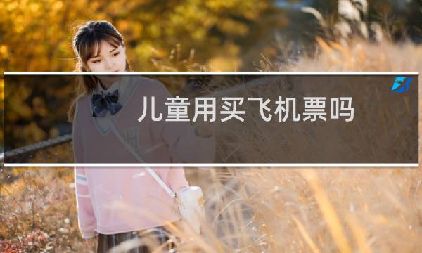儿童用买飞机票吗