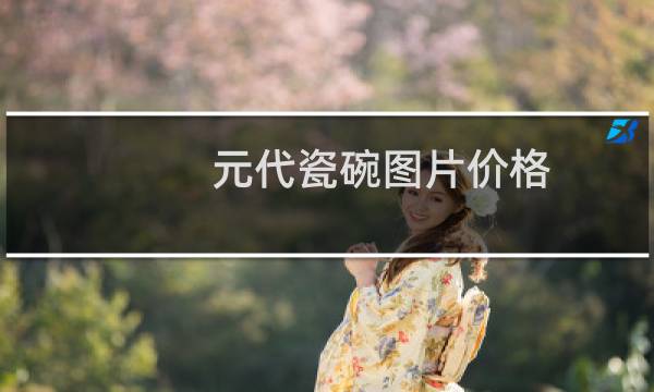 元代瓷碗图片价格