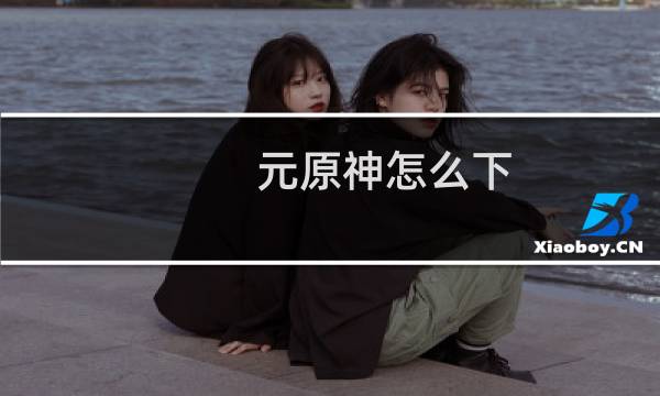 元原神怎么下