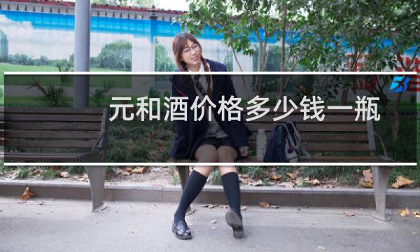元和酒价格多少钱一瓶