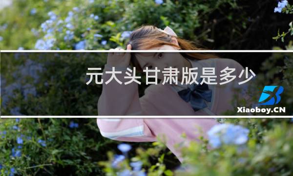 元大头甘肃版是多少