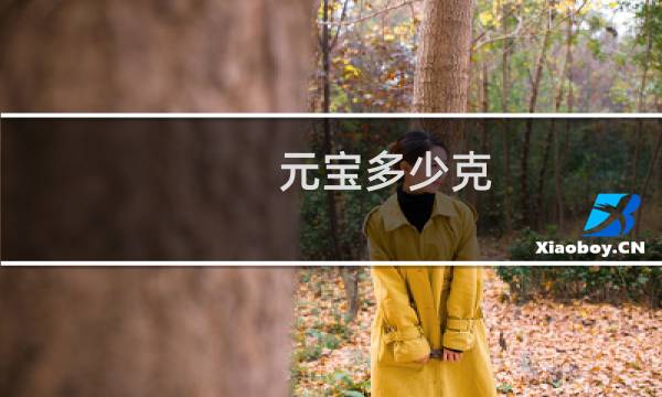 元宝多少克