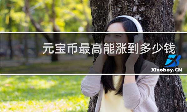 元宝币最高能涨到多少钱
