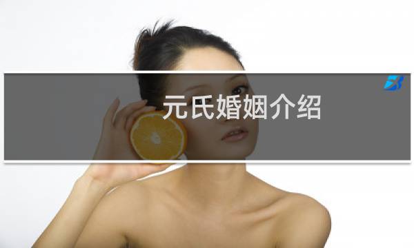 元氏婚姻介绍