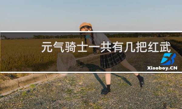 元气骑士一共有几把红武