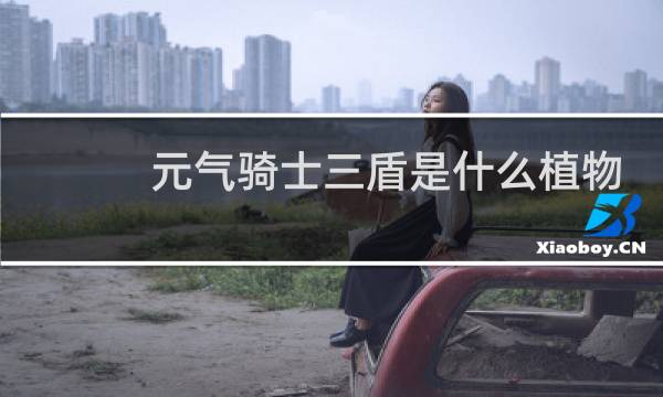 元气骑士三盾是什么植物
