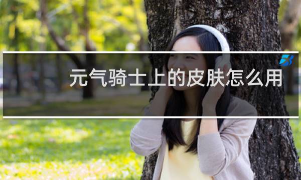 元气骑士上的皮肤怎么用