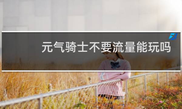 元气骑士不要流量能玩吗