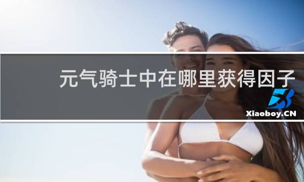 元气骑士中在哪里获得因子