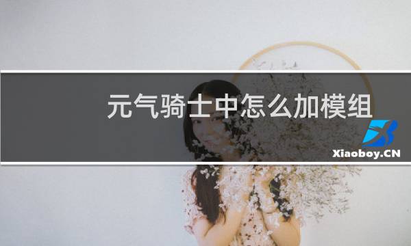 元气骑士中怎么加模组