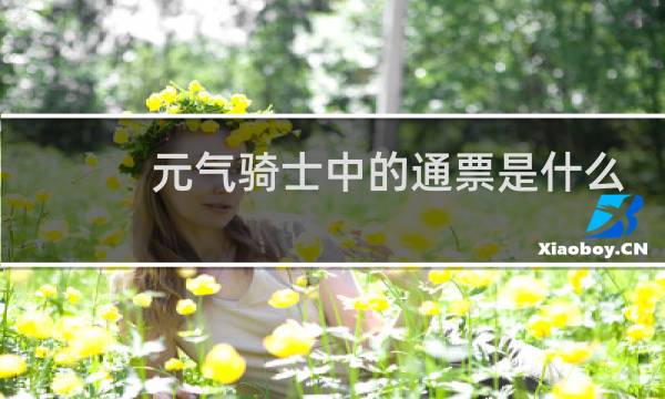 元气骑士中的通票是什么