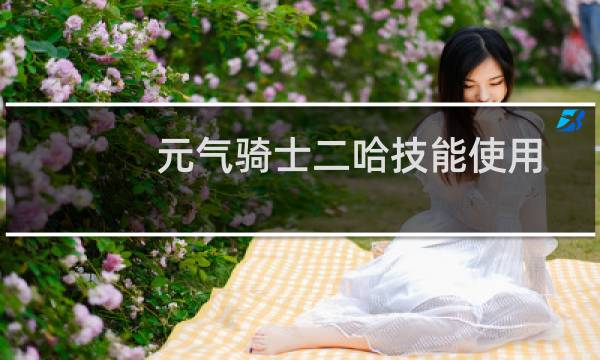 元气骑士二哈技能使用